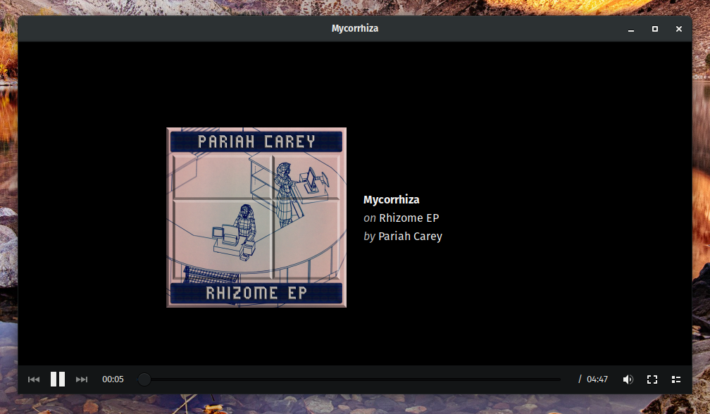 Parole Media Player is shown with a dark titlebar.