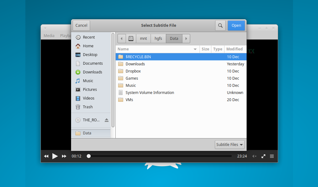 Parole supports external subtitle files, convenient for overlaying your videos in your preferred language.